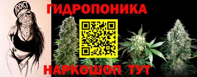 спиды Гусев
