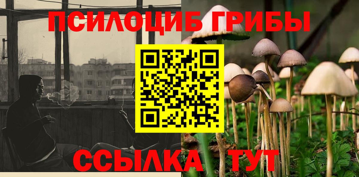 Галлюциногенные грибы мицелий Мытищи